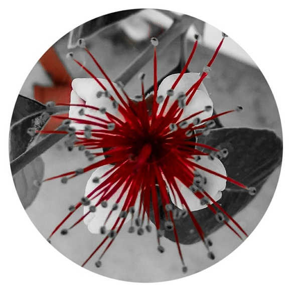 I'm finally doing a Meet the Seller... - Picture 1 of 1